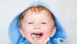 窩溝封閉—預(yù)防窩溝齲